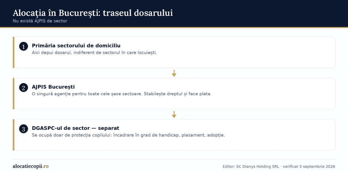 Diagramă cu traseul dosarului de alocație în București: primăria de sector, AJPIS București pentru toate sectoarele, DGASPC de sector separat