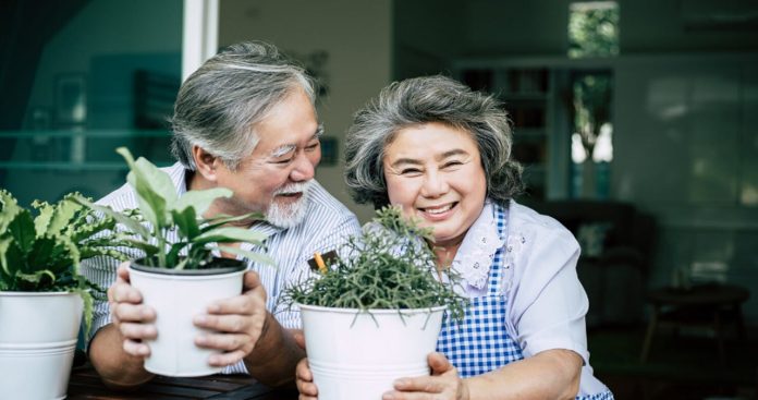 Card de tichete sociale preplatite folosit in supermarket pentru cumparaturi de Paste